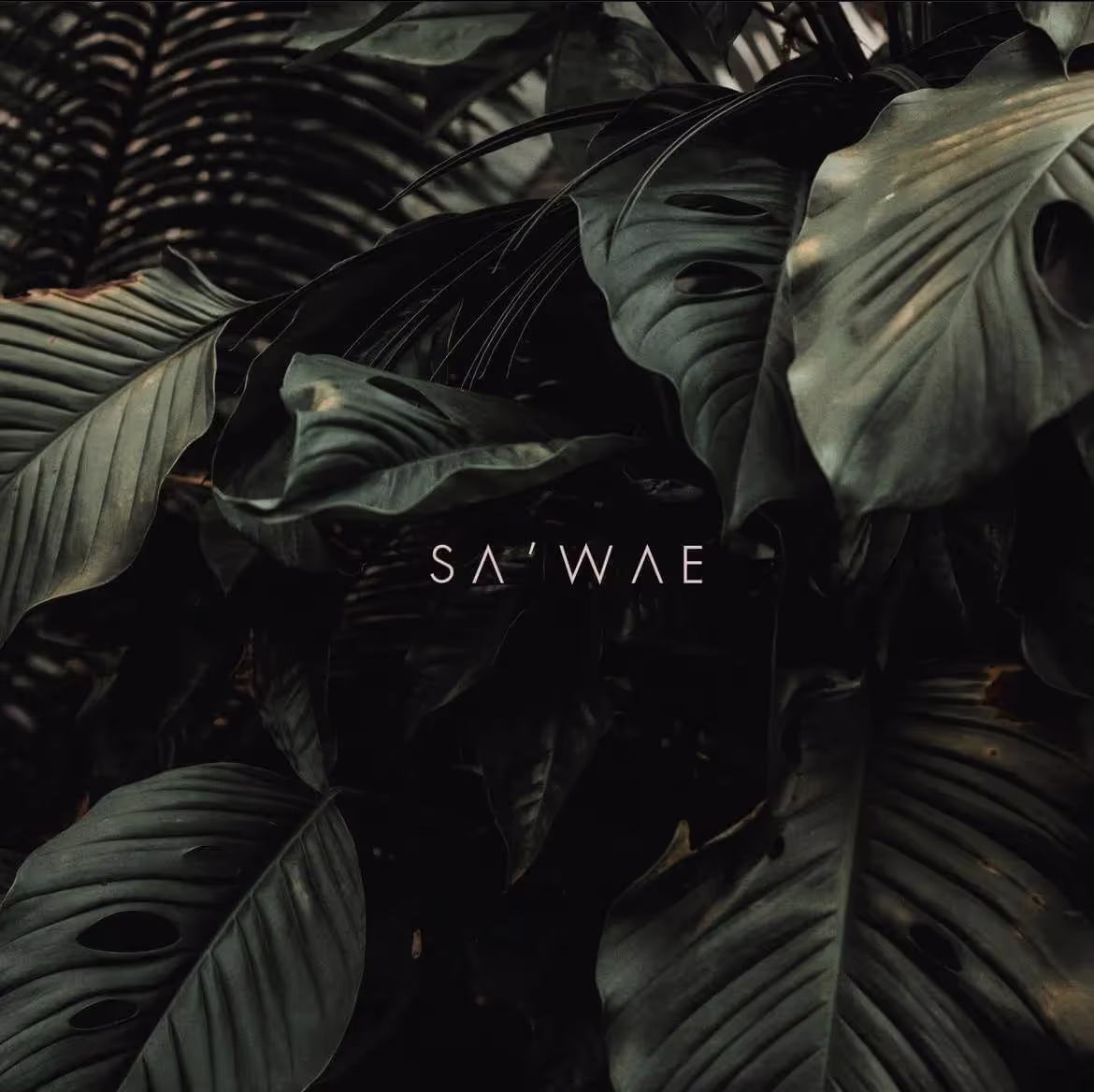 Studio Sa'wae, photo 3
